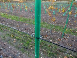 Rentable fibra vidrio mextha resistencia Viña Post poste